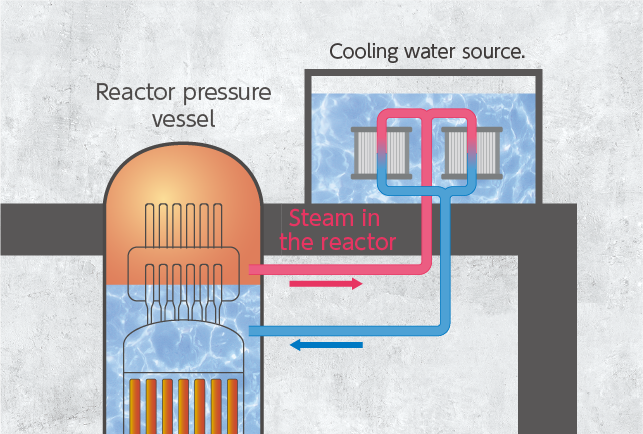 Passive reactor cooling system driven by the difference in the density of water and steam and the height difference with the reactor pressure vessel